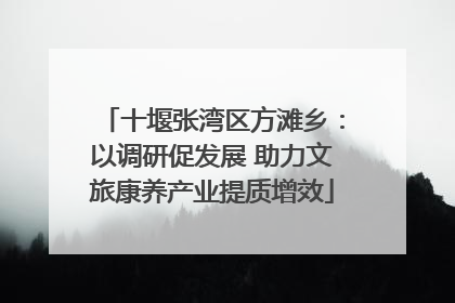 十堰张湾区方滩乡：以调研促发展 助力文旅康养产业提质增效