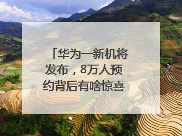 华为一新机将发布，8万人预约背后有啥惊喜？｜热财经