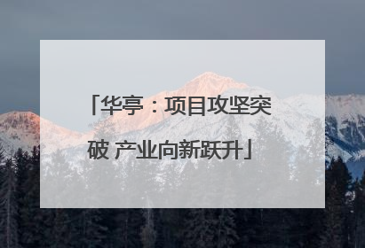 华亭：项目攻坚突破 产业向新跃升