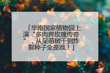 华南国家植物园上演“多肉界玫瑰传奇”，从呆萌树干到炸裂种子全是戏！
