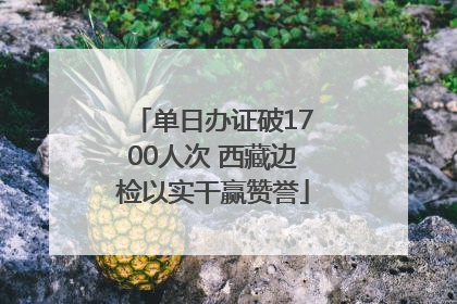 单日办证破1700人次 西藏边检以实干赢赞誉