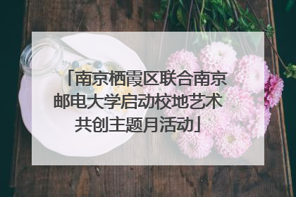 南京栖霞区联合南京邮电大学启动校地艺术共创主题月活动