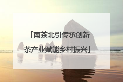 南茶北引传承创新 茶产业赋能乡村振兴