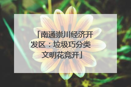 南通崇川经济开发区：垃圾巧分类 文明花竞开