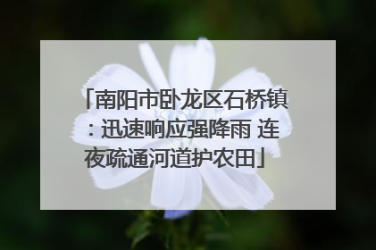 南阳市卧龙区石桥镇：迅速响应强降雨 连夜疏通河道护农田