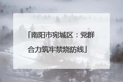 南阳市宛城区：党群合力筑牢禁烧防线