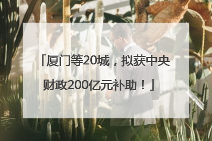 厦门等20城，拟获中央财政200亿元补助！