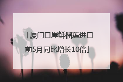厦门口岸鲜榴莲进口 前5月同比增长10倍
