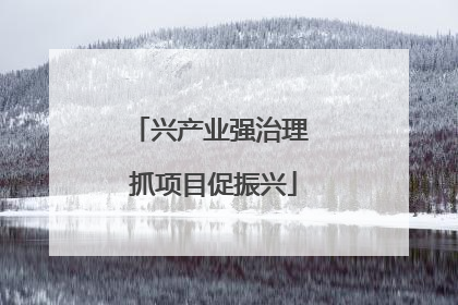 兴产业强治理 抓项目促振兴