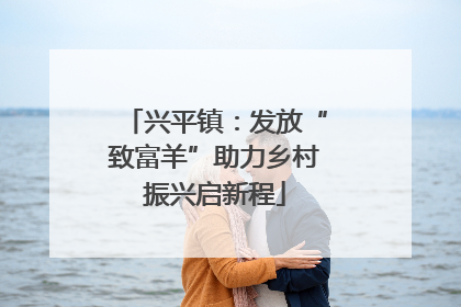 兴平镇：发放“致富羊”助力乡村振兴启新程