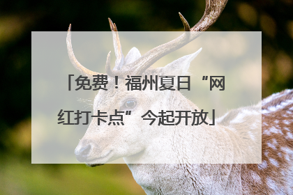 免费！福州夏日“网红打卡点”今起开放