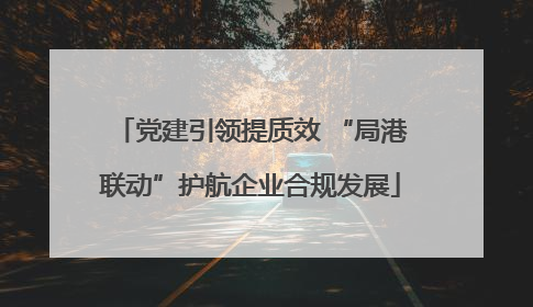 党建引领提质效 “局港联动”护航企业合规发展