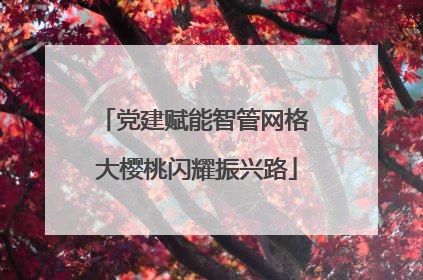 党建赋能智管网格 大樱桃闪耀振兴路