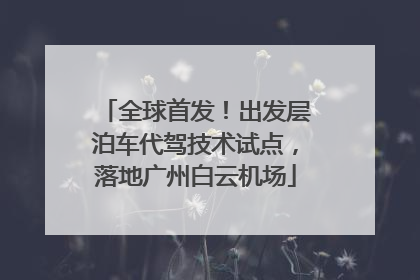 全球首发！出发层泊车代驾技术试点，落地广州白云机场