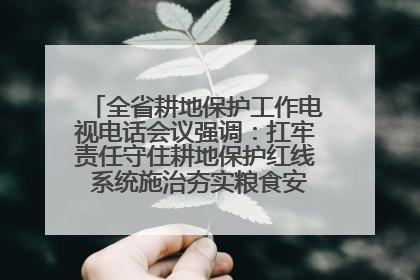 全省耕地保护工作电视电话会议强调：扛牢责任守住耕地保护红线 系统施治夯实粮食安全根基 王宁作出批示 王予波出席并讲话