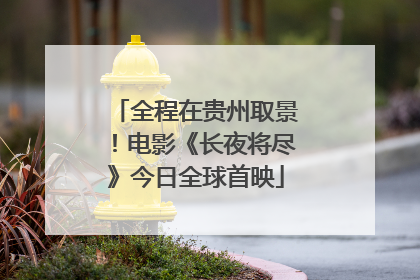 全程在贵州取景！电影《长夜将尽》今日全球首映