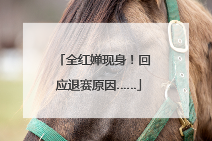 全红婵现身！回应退赛原因……