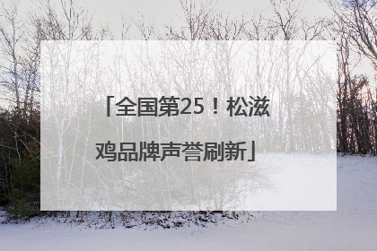 全国第25！松滋鸡品牌声誉刷新