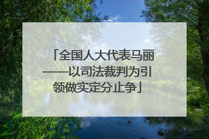 全国人大代表马丽——以司法裁判为引领做实定分止争