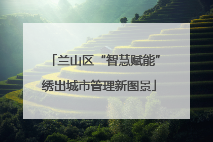 兰山区“智慧赋能”绣出城市管理新图景