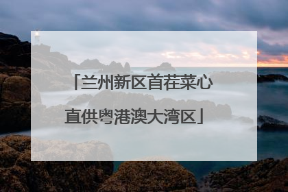 兰州新区首茬菜心直供粤港澳大湾区