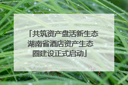 共筑资产盘活新生态 湖南省酒店资产生态圈建设正式启动