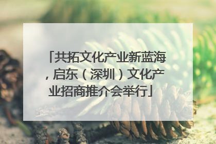 共拓文化产业新蓝海，启东（深圳）文化产业招商推介会举行