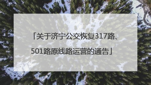 关于济宁公交恢复317路、501路原线路运营的通告
