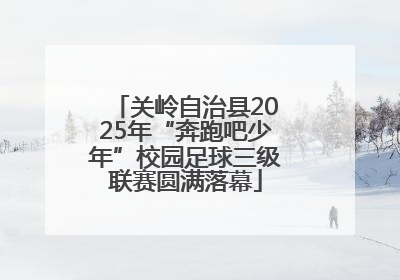 关岭自治县2025年“奔跑吧少年”校园足球三级联赛圆满落幕