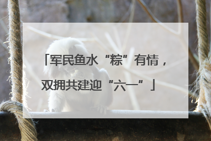 军民鱼水“粽”有情，双拥共建迎“六一”