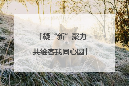 凝“新”聚力 共绘客我同心圆