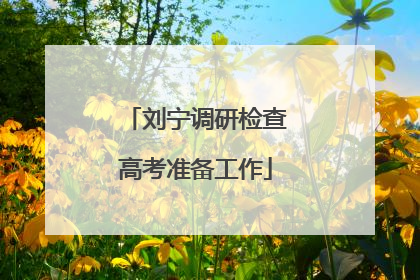 刘宁调研检查高考准备工作