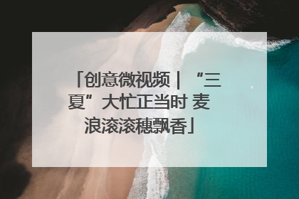 创意微视频｜“三夏”大忙正当时 麦浪滚滚穗飘香