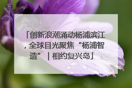 创新浪潮涌动杨浦滨江，全球目光聚焦“杨浦智造”｜相约复兴岛