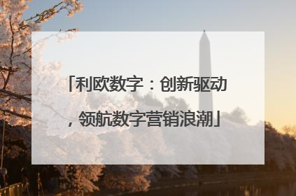 利欧数字：创新驱动，领航数字营销浪潮