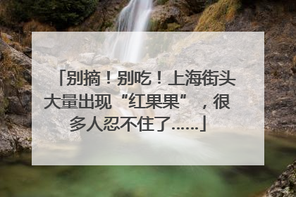 别摘！别吃！上海街头大量出现“红果果”，很多人忍不住了……