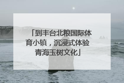 到丰台北粮国际体育小镇，沉浸式体验青海玉树文化