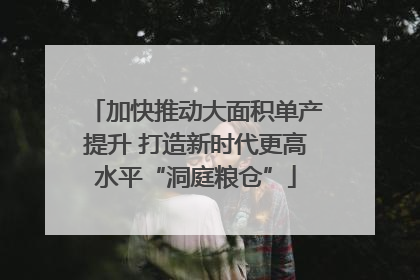 加快推动大面积单产提升 打造新时代更高水平“洞庭粮仓”