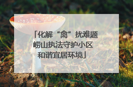 化解“禽”扰难题 崂山执法守护小区和谐宜居环境