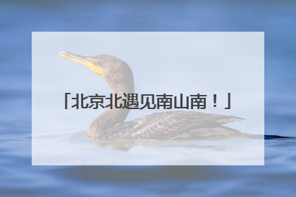 北京北遇见南山南！