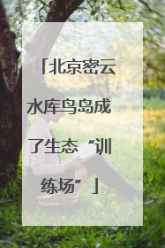 北京密云水库鸟岛成了生态“训练场”