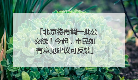北京将再调一批公交线！今起，市民如有意见建议可反馈