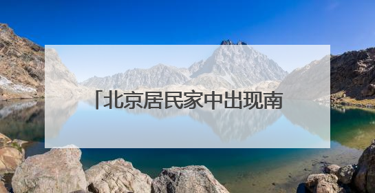 北京居民家中出现南方大蟑螂，正常吗？