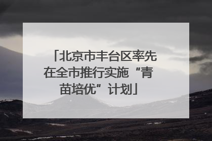 北京市丰台区率先在全市推行实施“青苗培优”计划