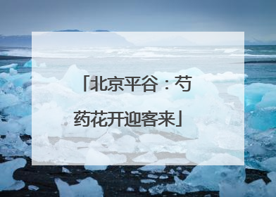 北京平谷：芍药花开迎客来