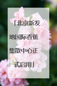 北京新发地国际香蕉集散中心正式启用