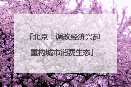 北京：调改经济兴起 重构城市消费生态