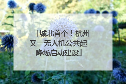 城北首个！杭州又一无人机公共起降场启动建设