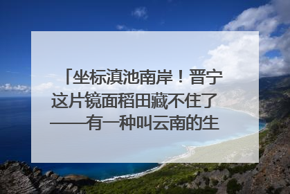 坐标滇池南岸！晋宁这片镜面稻田藏不住了——有一种叫云南的生活之365天