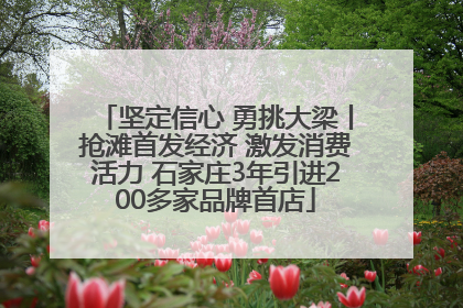 坚定信心 勇挑大梁丨抢滩首发经济 激发消费活力 石家庄3年引进200多家品牌首店